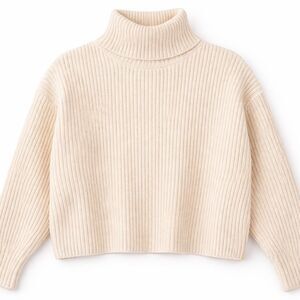 Elegant Cream Turtle Neck Sweater